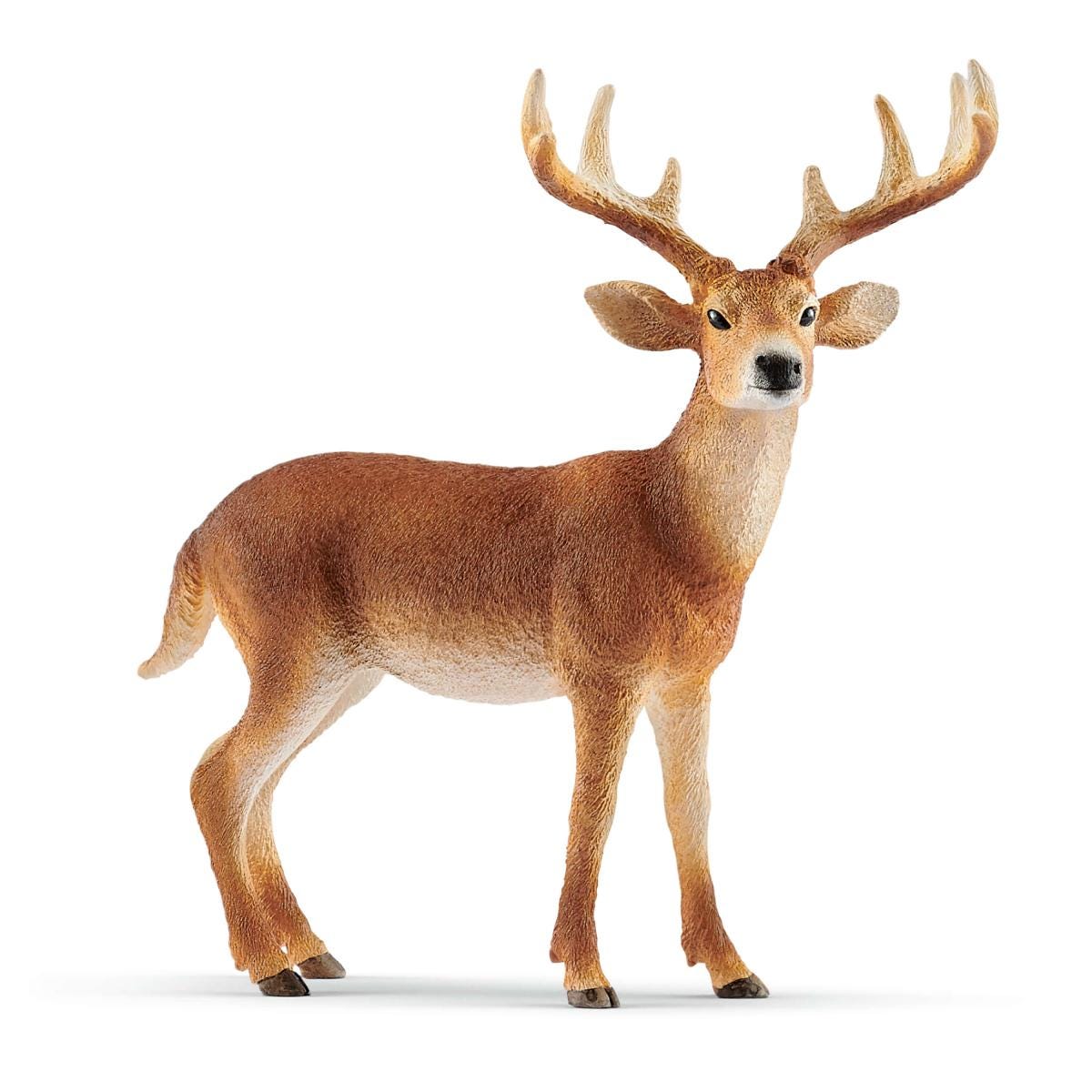 Schleich White-Tailed Deer Buck Figurine