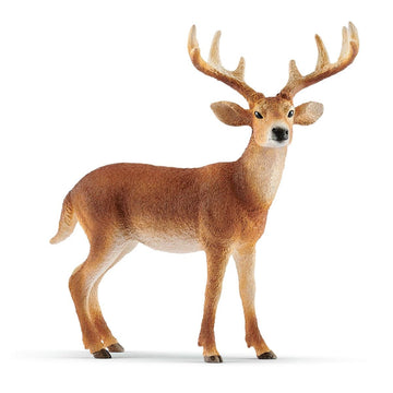 Schleich White-Tailed Deer Buck Figurine