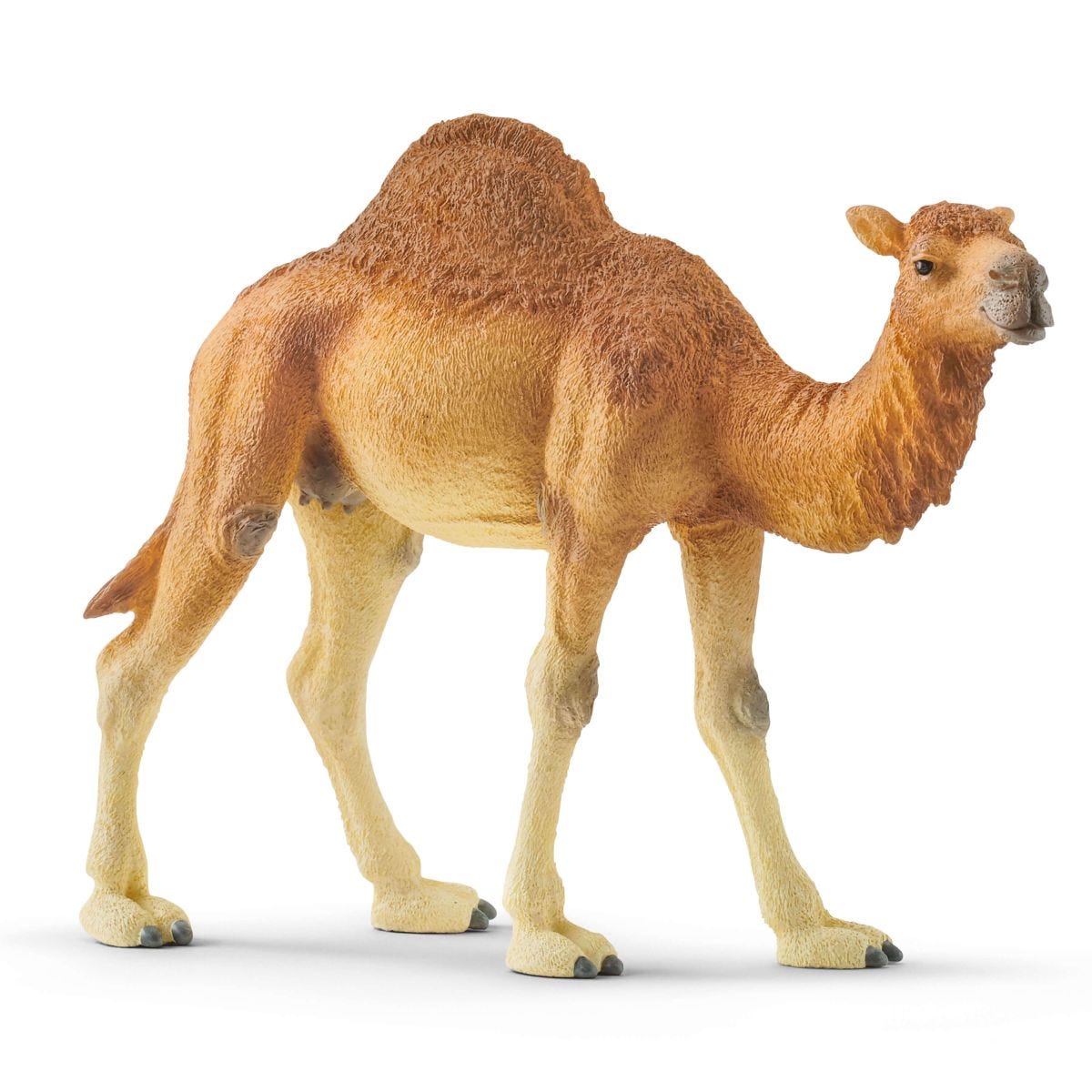 Schleich Figura Dromedario