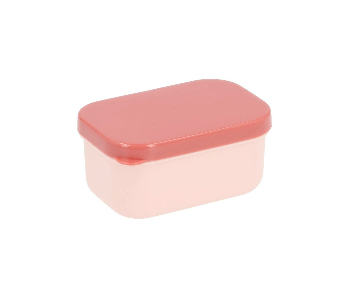 Little Red Riding Hood Bento Lunch Box