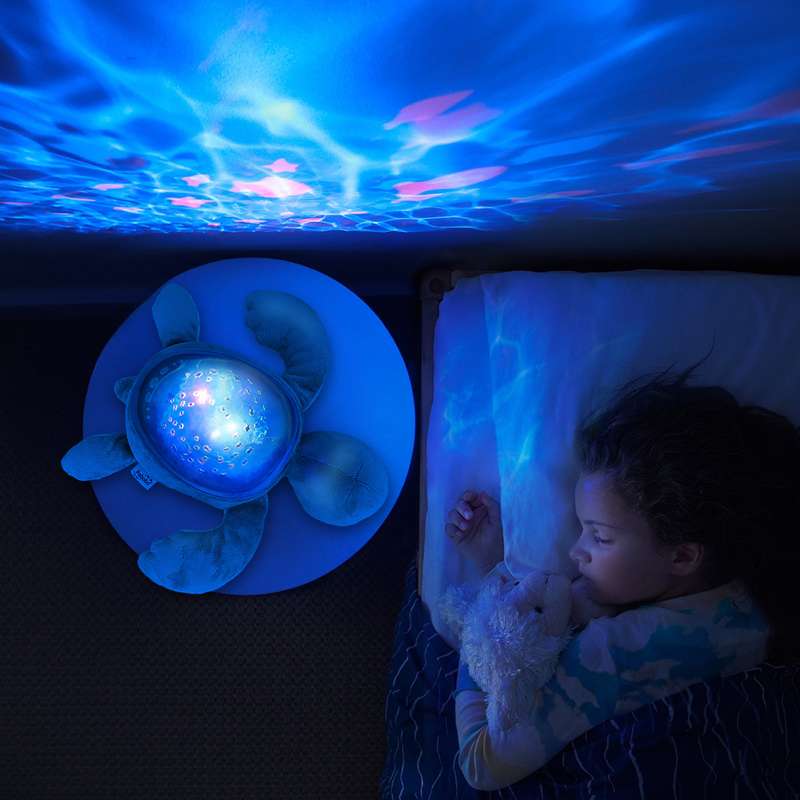 Pabobo Dynamic Submarine Projector Turtle