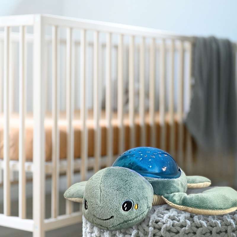 Pabobo Dynamic Submarine Projector Turtle