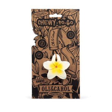 Hawaii The Flower Mini Teether Baby Oli & Carol