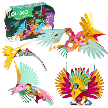 Clixo Tropical Birds Pack - Juego de juguetes magnéticos de construcción