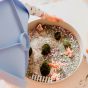 Jellystone Play Tray Sage Bandeja Sensorial Azul