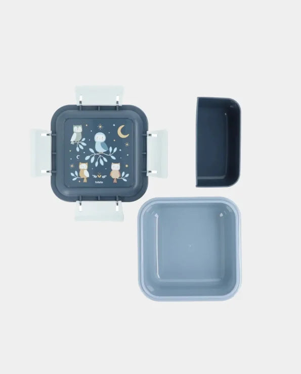 Large Magical Forest Bento Lunch Box