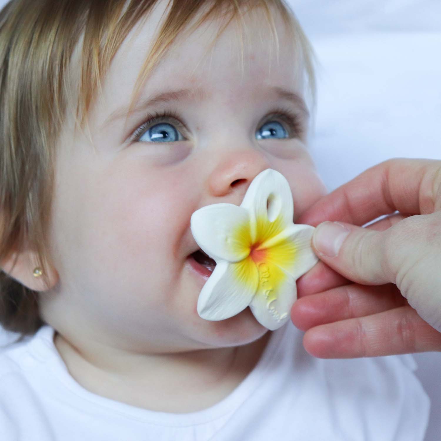 Hawaii The Flower Mini Teether Baby Oli & Carol