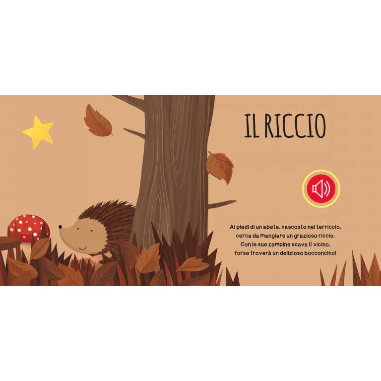 Mnolito Books Libros Sonoros El Bosque