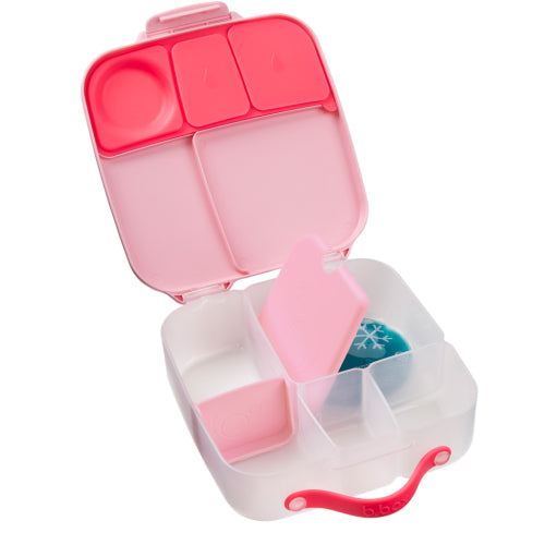 Lunchbox with Flamingo Fizz B.Box ice pack