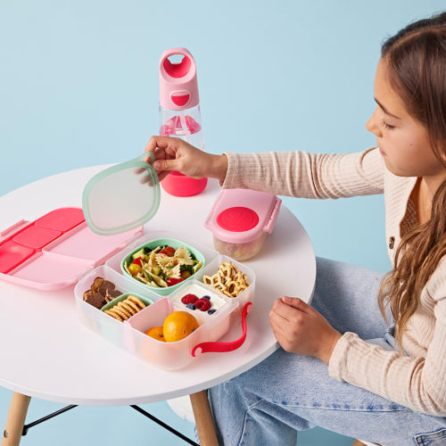 Lunchbox with Flamingo Fizz B.Box ice pack