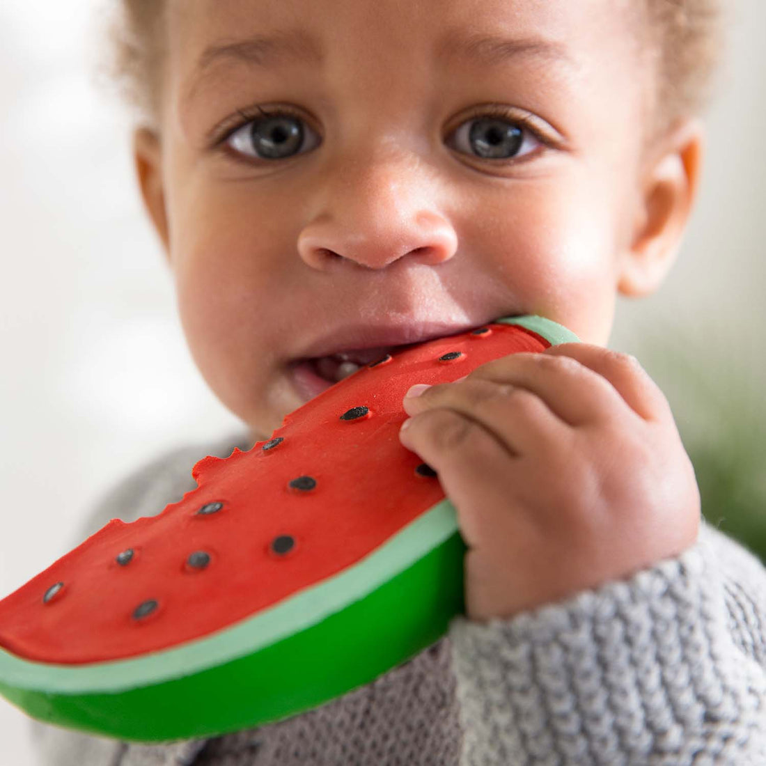 Wally the Watermelon Teether Oli &amp; Carol