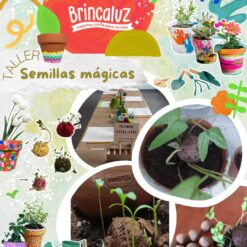 Taller de Semillas Mágicas