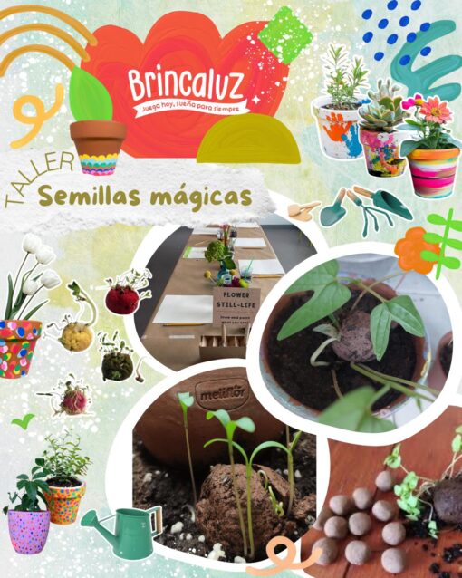 Taller de Semillas Mágicas
